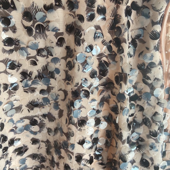 ZARA limited edition sequin dress new with tag - Picture 2 of 4